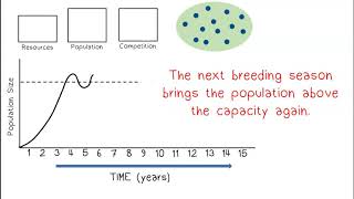 Overproduction of Offspring