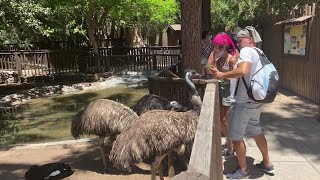 Palmitos Park en Maspalomas - Gran Canaria (agosto 2021)