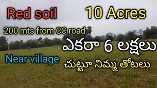 10 Acres🙏 sold out🙏//చేజర్ల మండలం //నెల్లూరు జిల్లా//9063638449