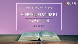 해 아래에는 새 것이 없나니, 전도서 1장 1~11절, 주현 후 첫째(주님 수세) 주 금요일, 박주일 목사