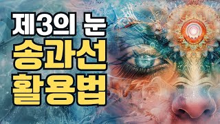 제3의 눈, 송과선의 신비로운 기능과 쉽고 효과적인 활용법