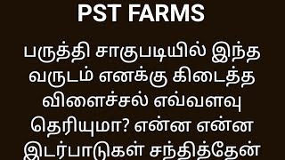 பருத்தி சாகுபடியில் இந்த வருடம் எனக்கு கிடைத்த விளைச்சல் எவ்வளவு தெரியுமா?என்ன  இடர்பாடு சந்தித்தேன்