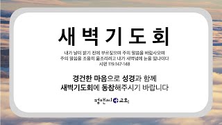 컴앤씨교회 2024.11.19 새벽기도회ㅣ디모데후서 4장 9-22절ㅣ길우섭 목사