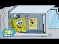 Bob Esponja | Las entregas de comida MÁS EXTRAÑAS de Bob Esponja | Bob Esponja en Español