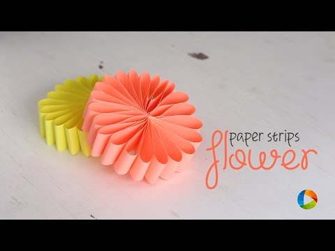 DIY: Paper Strips Flower DIY: Paper Strips Flower
