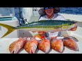 GIANT Rainbow Runner & Snapper! Catch Clean Cook (Commercial Fishing)