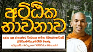 අට්ඨික භාවනාව | පූජ්‍ය කිරුලපන ධම්මවිජය හිමිපාණෝ