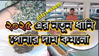 ২০২৫ সালের আপডেট ধানি মাছ কিনুন পাইকারি মূল্যে যোগাযোগঃ 01727-449699