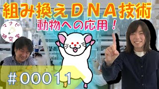 遺伝子組み換え動物の作り方！# 00011