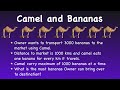 Camel and Bananas Puzzle || Amazon Interview Puzzle