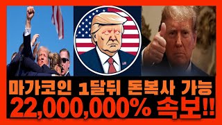 [마가코인] 대선 전후로 폭등한다!!! 220000000%폭등각?!!!!