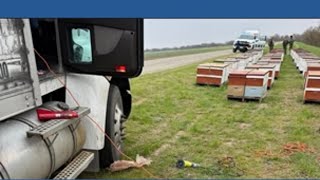 Stolen beehives found in Yolo County
