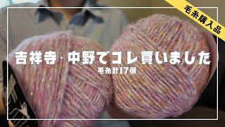 【編み物】吉祥寺・中野の毛糸店巡りで買った毛糸たち、ご紹介します！│Yarn Haul of shopping at Kichijoji and Nakano, Tokyo!