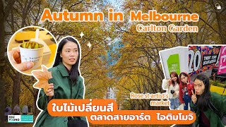 Autumn Leaves in Melbourne l ดูใบไม้เปลี่ยนสี ตลาดสายอาร์ต ชิมไอติมร้านดังในเมลเบิร์น