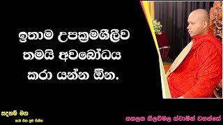 ඉතාම උපක්‍රමශීලීව තමයි අවබෝධය කරා යන්න ඕන.2508Ven Hasalaka Seelawimala Thero