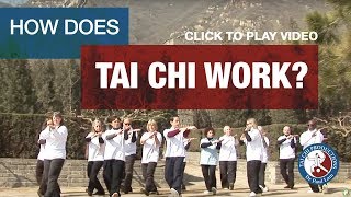 Dr Paul Lam I Online Tai Chi Lessons I How Does It Work?