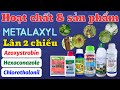 Quản lý nấm bệnh với hoạt chất: Metalaxyl, Lân 2 chiều, Azoxystrobin, Chlorothalonil và Hexaconazole