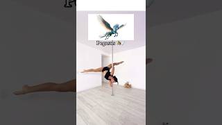 Pegasus 🐴🪽 #poledance #pole #poletrick #flexibility #flexibilidade #polesport