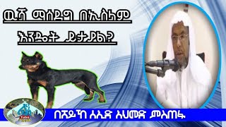 ዉሻ ማሰደግ በኢስላም እንዴት ይታያል ሸይኸ ሰኢድ አህመድ ምስጠፋ