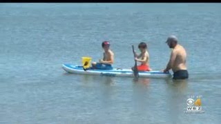 DCR Looking For Lifeguards, Massachusetts Enjoys Summer Temps In May