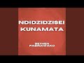 Ndidzidzisei Kunamata