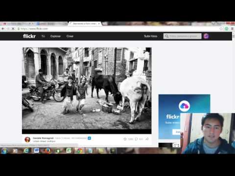 Flickr Youtube