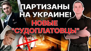 Партизаны на Украине! Диверсанты и \