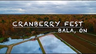 Cranberry festival, Bala Muskoka