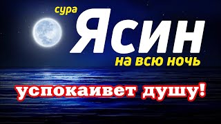 СУРА ЯСИН НА ВСЮ НОЧЬ! УСПОКАИВАЕТ ДУШУ. ИН ШАА АЛЛАХ!