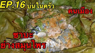 ซาบะย่างสมุนไพร คนเหนือ | EP.16 บ่นในครัว