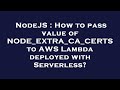 NodeJS : How to pass value of NODE_EXTRA_CA_CERTS to AWS Lambda deployed with Serverless?