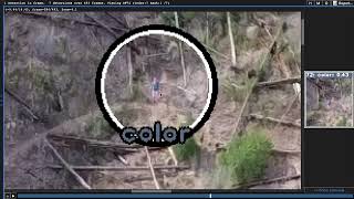 Eagle Eyes Scan Tutorial
