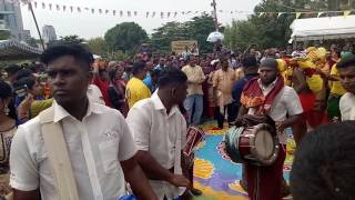 Navarasan veeran urumi melam thaipusam 2017 jb