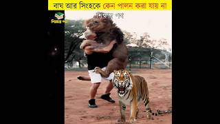 বাঘ আর সিংহকে পালন করা যায় না কেন || unknown facts about tiger and lion || #shorts #tiger #শিক্ষারপথ