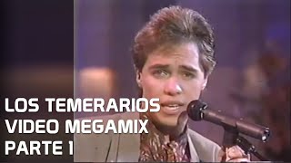 DJ GOOFY - LOS TEMERARIOS VIDEO MEGAMIX 1