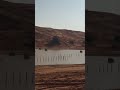 natural lake in the middle of the desert lake desert sahara saudiarabia viral shorts