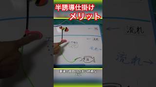 半誘導で餌取りをかわす！間違えてはいけないオモリの位置とは？#釣り　#仕掛け　#fishing 　#全誘導　#半誘導　#沈め釣り