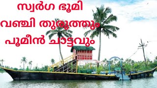 പൂമീൻ ചാട്ടം കണ്ടിട്ടുണ്ടോ? Flying Fishes | Matsyafed Fish Farm \u0026 Aqua Tourism Center Njarackal vlog