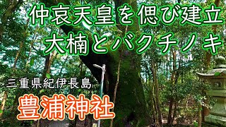 【三重県 神社】鳥居の先に海を望む、海辺の森「豊浦神社」～紀北町紀伊長島