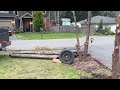 Pulling out a tree stump with a truck and tire