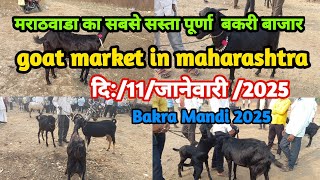 मराठवाडा का सबसे सस्ता पूर्णा  बकरी बाजार | goat market in maharashtra | शेळी बाजार|bakra mandi 2025