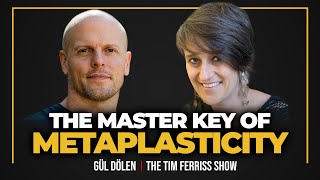 Rethinking Psychedelics, Octopuses on MDMA, and The Master Key of Metaplasticity | Dr. Gül Dölen