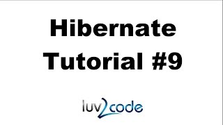 Hibernate Tutorial #9 - Dev Process