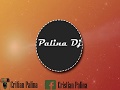 El Amante - Nicky Jam - Reggeton Mix - Palina Dj - 2017