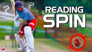 LEARN to PICK/READ SPIN bowling TODAY!!! | Full Batting Guide