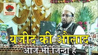 यज़ीद की औलाद आज भी जिंदा है देखिये | By Maulana Farooq Khan Razvi Sahab Full Bayan