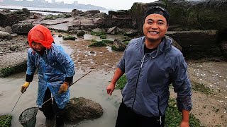 大熊冒著雨全身濕透扛抽水機抽巨大水坑，趕海阿姨加入抓魚大作戰