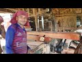 lebbeck tree wood cutting at logging mill।hardest lebbeck tree wood cutting for furniture।wood cut