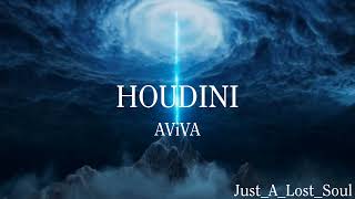 AViVA: HOUDINI