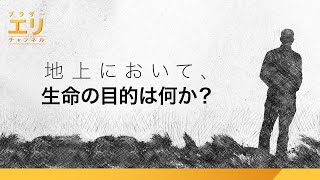 地上において、生命の目的は何か？ ｜ ブラザーエリチャンネル